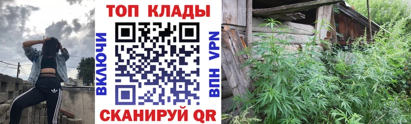 Купить наркотики сайты Шумиха ГЕРОИН  Конопля  Меф  Гашиш  АМФЕТАМИН 