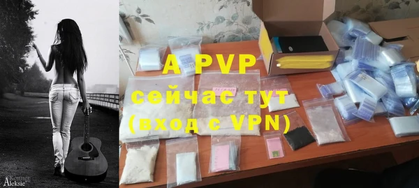 крисы Алексин